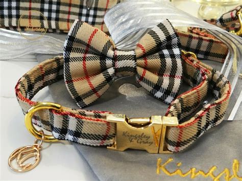 burberry collar